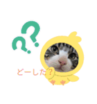 あnag（個別スタンプ：11）