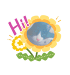 あnag（個別スタンプ：12）