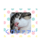 あnag（個別スタンプ：14）