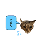 ぷぅちゃん①（個別スタンプ：22）