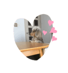 めるこ（個別スタンプ：8）