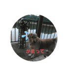 エイトの日常stamp（個別スタンプ：1）