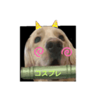 エイトの日常stamp（個別スタンプ：7）