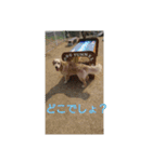 エイトの日常stamp（個別スタンプ：9）