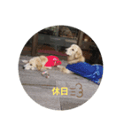 エイトの日常stamp（個別スタンプ：10）
