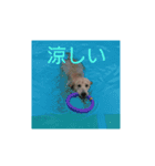 エイトの日常stamp（個別スタンプ：14）