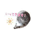 ハリネズミふーちゃんの日常（個別スタンプ：3）