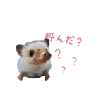 ハリネズミふーちゃんの日常（個別スタンプ：14）