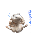 ハリネズミふーちゃんの日常（個別スタンプ：19）