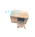 ハリネズミふーちゃんの日常（個別スタンプ：22）