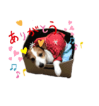 みんなのサティ2（個別スタンプ：5）
