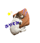 みんなのサティ2（個別スタンプ：8）