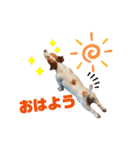 みんなのサティ2（個別スタンプ：15）