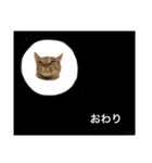 むぎねこ2（個別スタンプ：18）