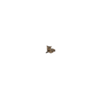 むぎねこ2（個別スタンプ：25）
