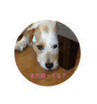 おっつとくうた（個別スタンプ：6）