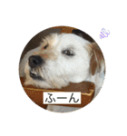 おっつとくうた（個別スタンプ：9）