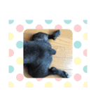 おっつとくうた（個別スタンプ：13）