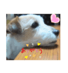 おっつとくうた（個別スタンプ：14）
