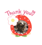 らっきー☆（個別スタンプ：3）