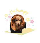 らっきー☆（個別スタンプ：4）