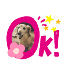 らっきー☆（個別スタンプ：8）