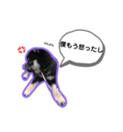 ロクくん1（個別スタンプ：5）