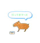 動物日常会話スタンプ（個別スタンプ：6）