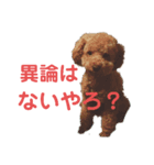 ジーニの日常会話（個別スタンプ：1）