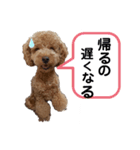 ジーニの日常会話（個別スタンプ：2）