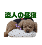 ジーニの日常会話（個別スタンプ：7）