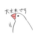 ゆるりと文鳥2（個別スタンプ：1）