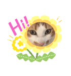 おきらく茶白ねこ2（個別スタンプ：1）