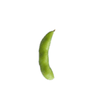 おじ語(詳しくは説明をみてね)（個別スタンプ：1）