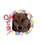 くーちゃんスタンプ☆☆（個別スタンプ：4）