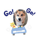 くーちゃんスタンプ☆☆（個別スタンプ：6）