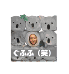 ハシモトホリックのLINEスタンプ第一弾（個別スタンプ：12）