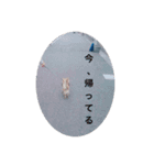 celo（個別スタンプ：6）