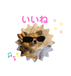 celo（個別スタンプ：7）