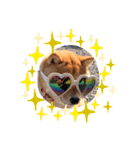 可愛い犬1（個別スタンプ：18）