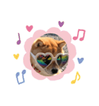 可愛い犬1（個別スタンプ：19）
