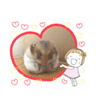 きまこすたんぷ（個別スタンプ：2）