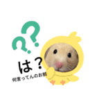 きまこすたんぷ（個別スタンプ：3）