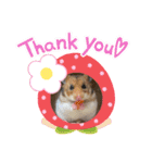 きまこすたんぷ（個別スタンプ：8）