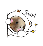 きまこすたんぷ（個別スタンプ：12）
