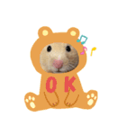 きまこすたんぷ（個別スタンプ：13）