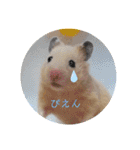 きまこすたんぷ（個別スタンプ：16）