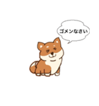 まろまゆ犬 柴（個別スタンプ：14）