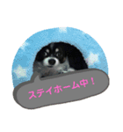 わんドッグ（個別スタンプ：2）