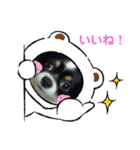 わんドッグ（個別スタンプ：6）